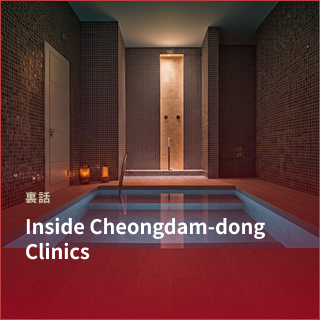 Inside Cheongdam-dong Clinics